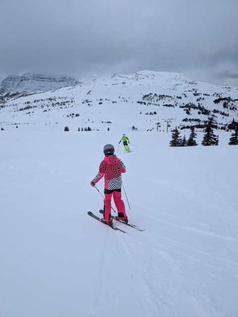 PXL_20260202_170241341