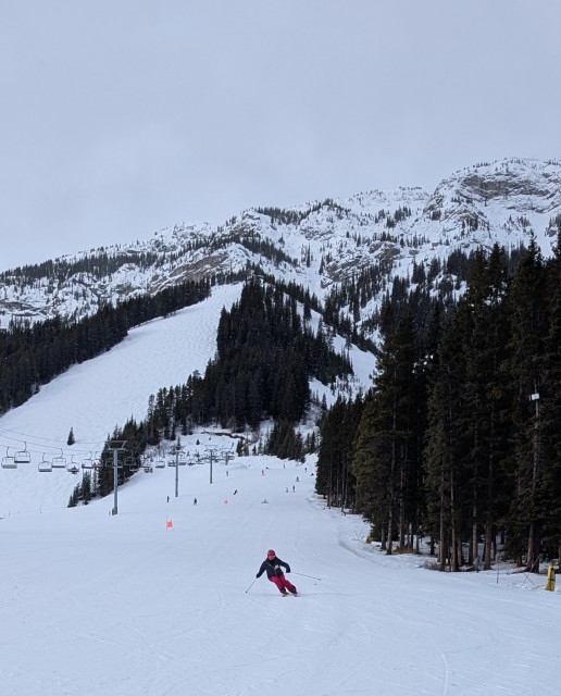 PXL_20260317_161900833.MP