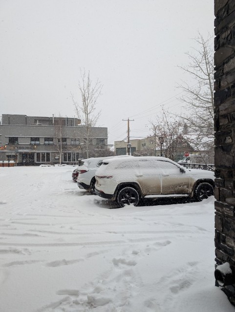 PXL_20260325_144651775.MP